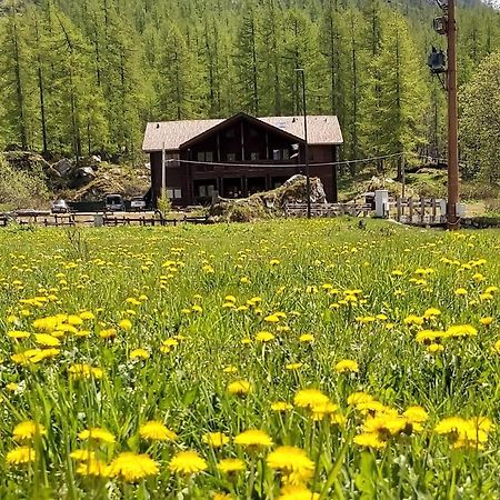 Chalet Rosa Dei Monti Piamprato ภายนอก รูปภาพ