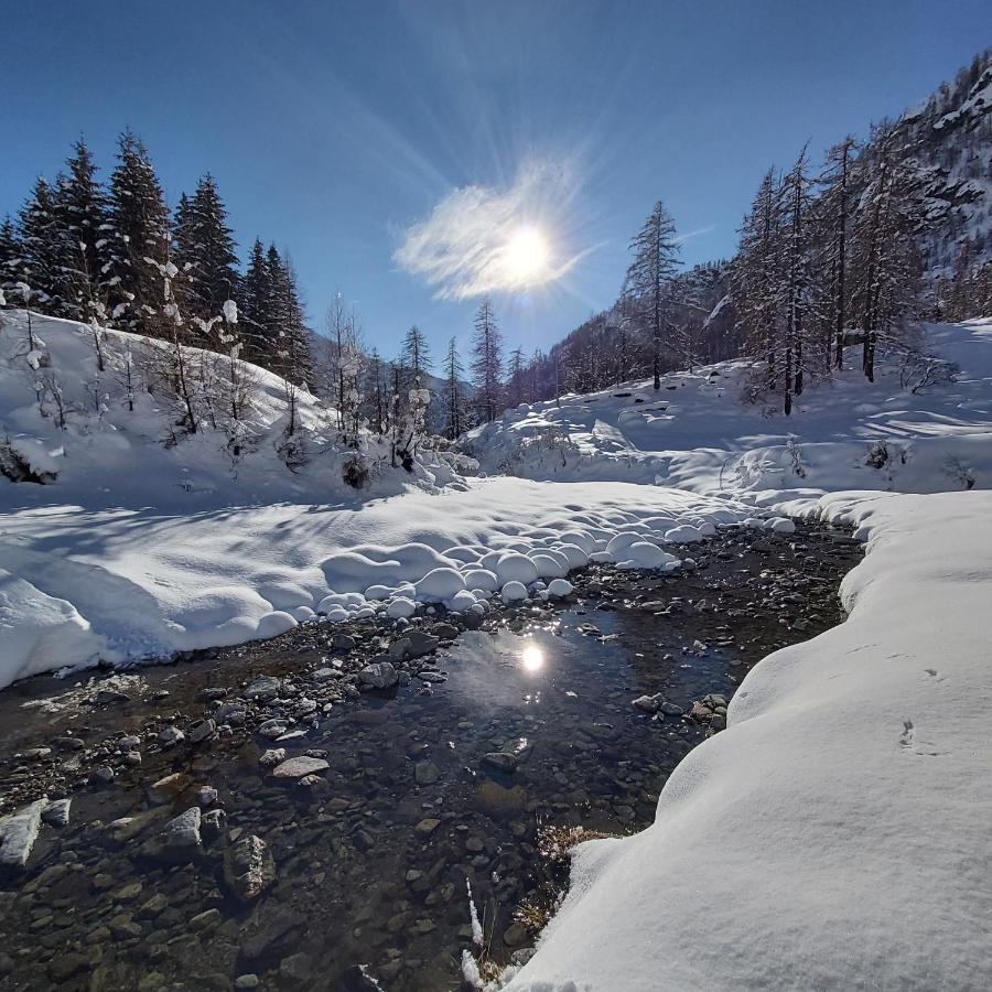 Chalet Rosa Dei Monti Piamprato ภายนอก รูปภาพ