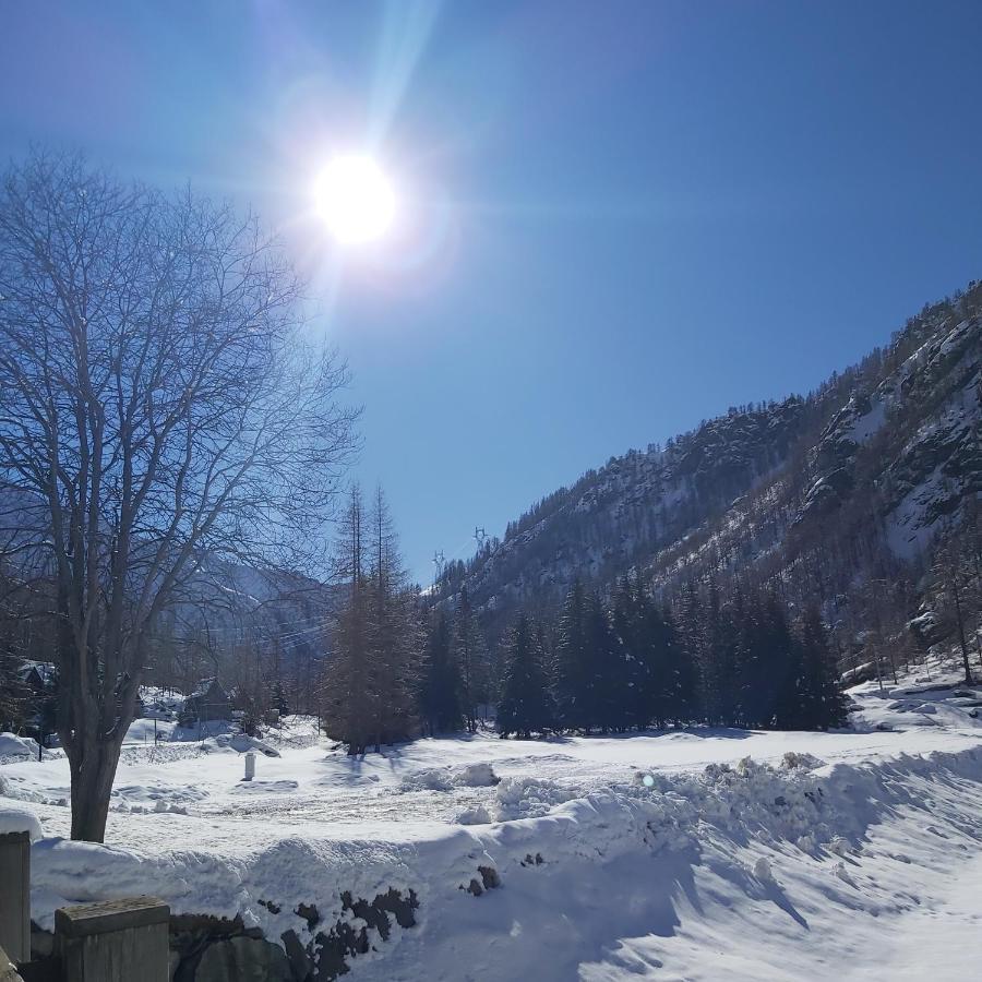 Chalet Rosa Dei Monti Piamprato ภายนอก รูปภาพ