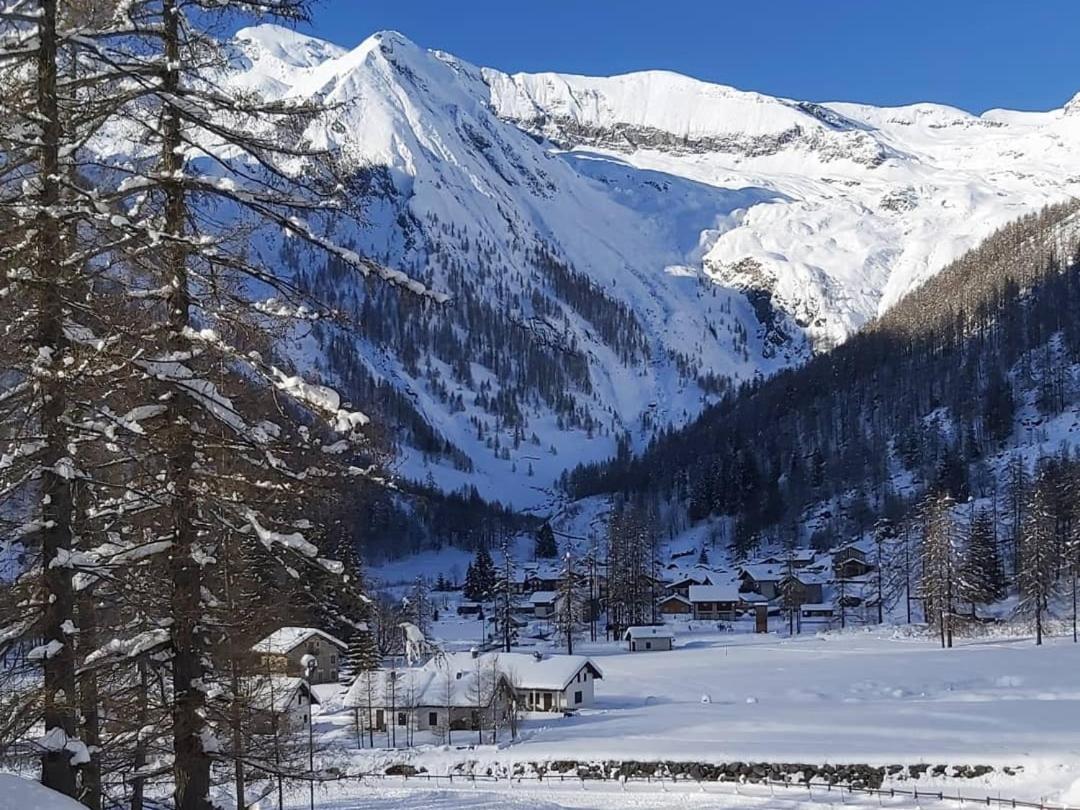 Chalet Rosa Dei Monti Piamprato ภายนอก รูปภาพ