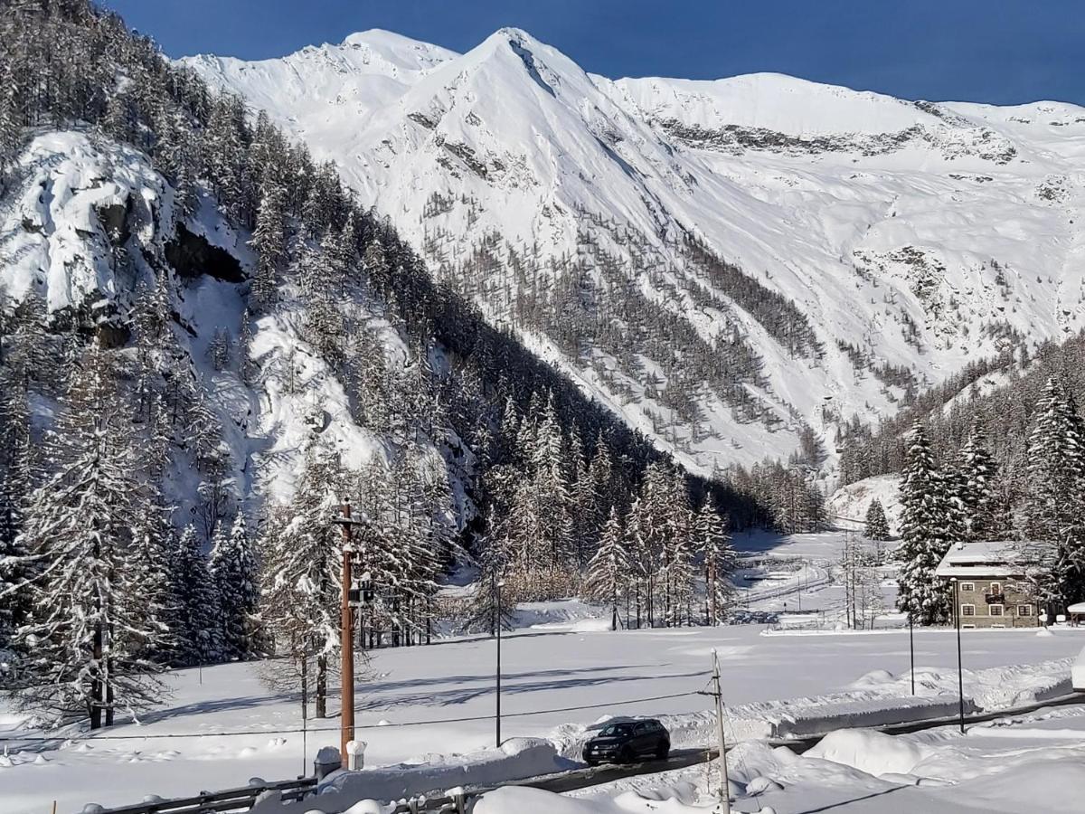 Chalet Rosa Dei Monti Piamprato ภายนอก รูปภาพ