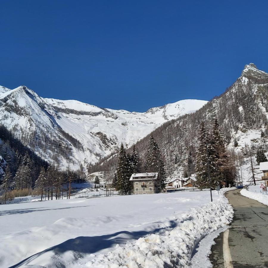 Chalet Rosa Dei Monti Piamprato ภายนอก รูปภาพ