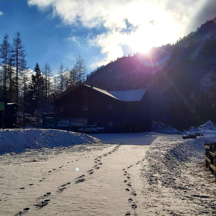 Chalet Rosa Dei Monti Piamprato ภายนอก รูปภาพ