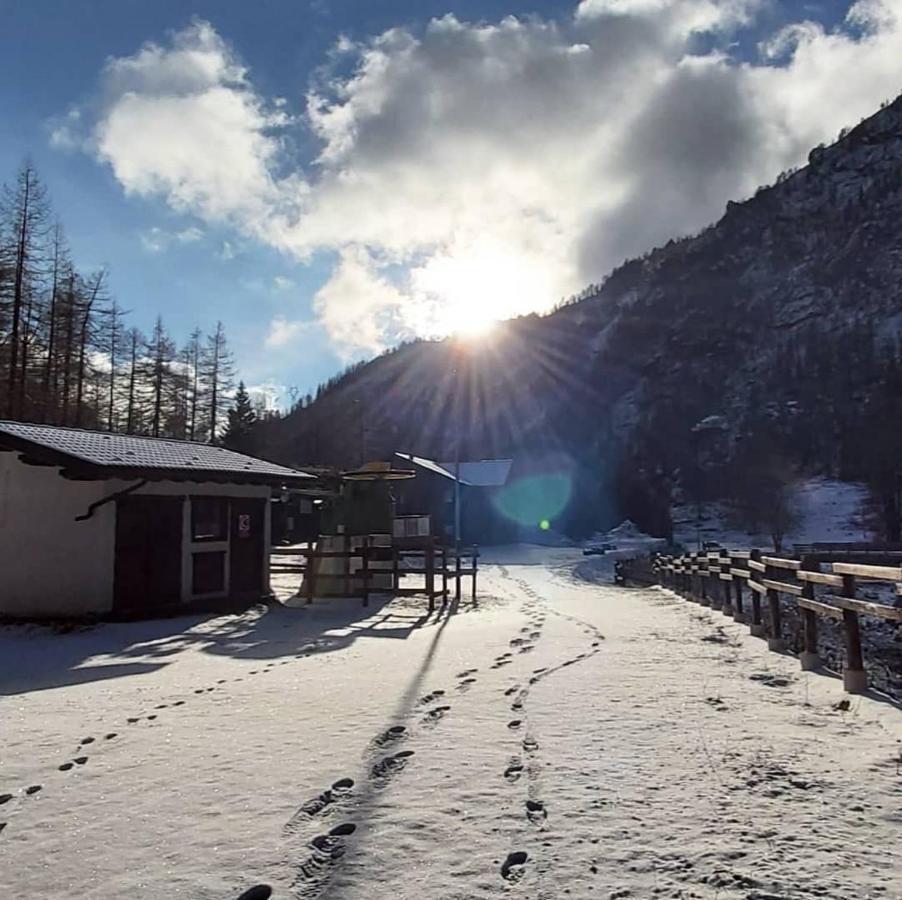 Chalet Rosa Dei Monti Piamprato ภายนอก รูปภาพ