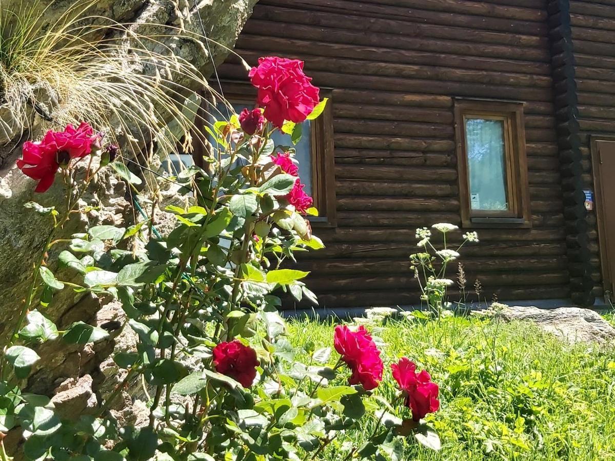 Chalet Rosa Dei Monti Piamprato ภายนอก รูปภาพ