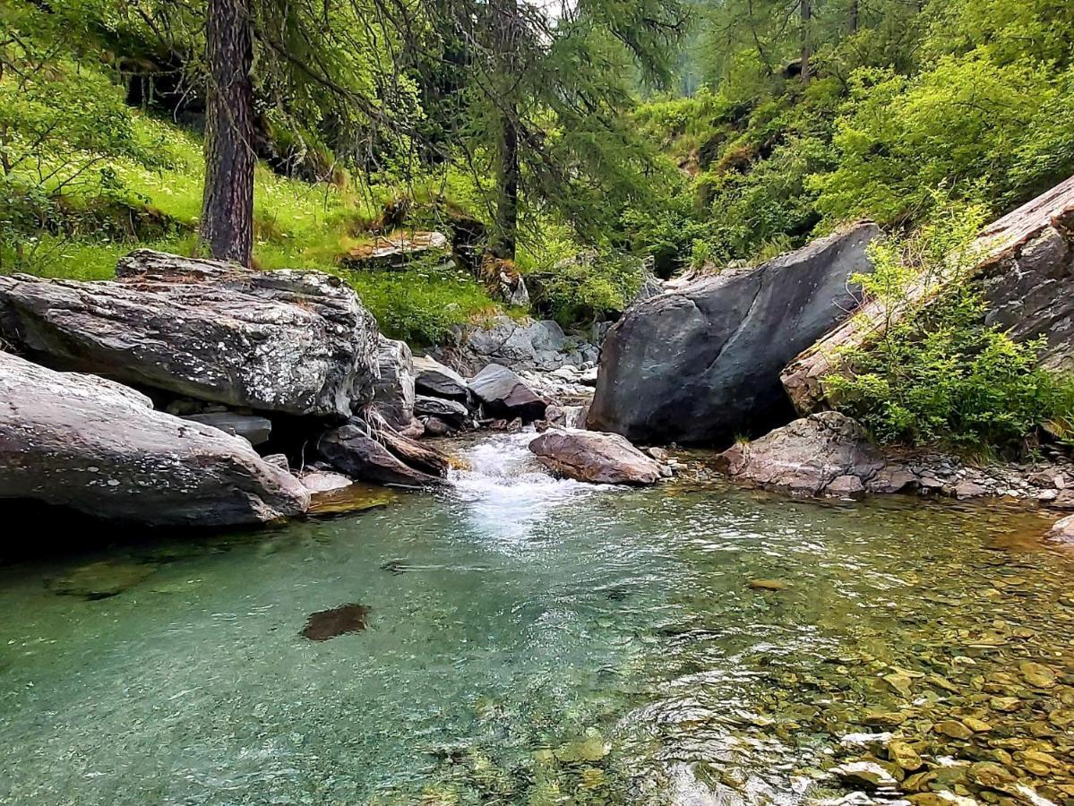Chalet Rosa Dei Monti Piamprato ภายนอก รูปภาพ
