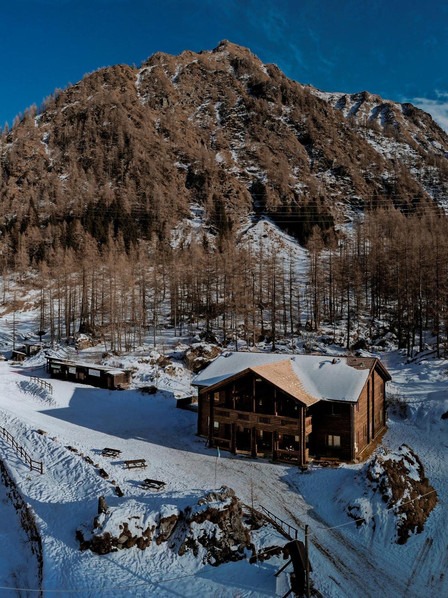 Chalet Rosa Dei Monti Piamprato ภายนอก รูปภาพ