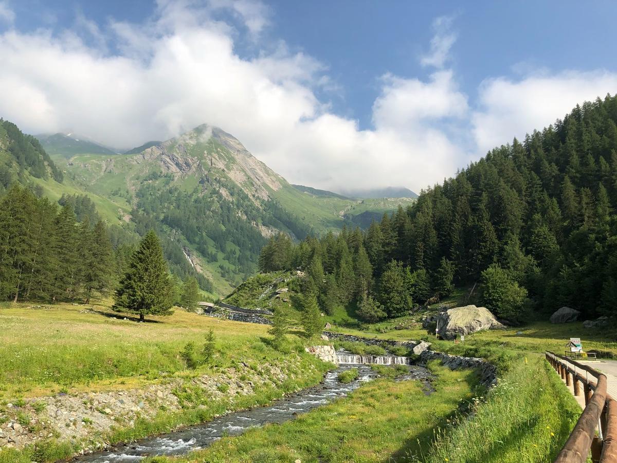 Chalet Rosa Dei Monti Piamprato ภายนอก รูปภาพ