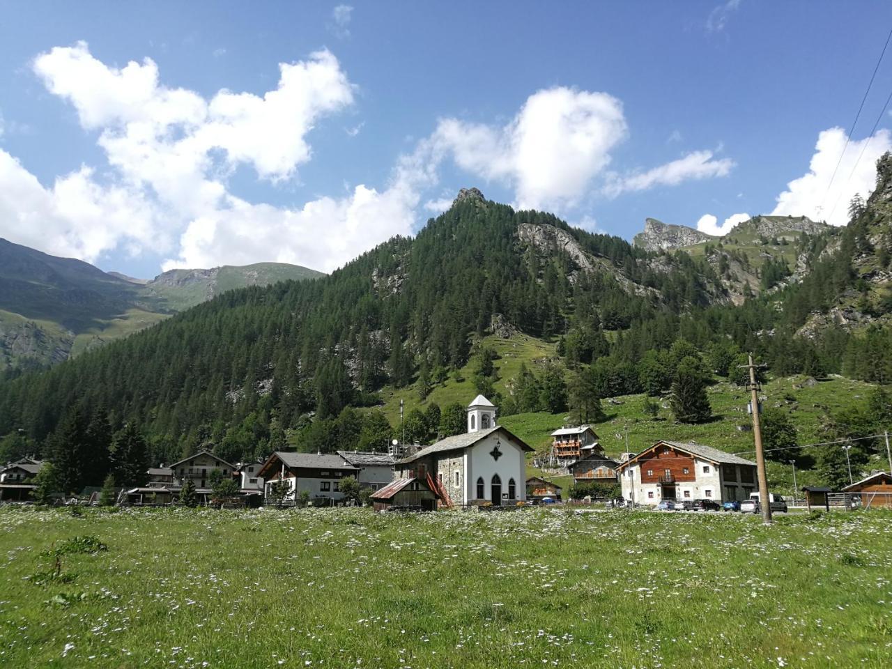 Chalet Rosa Dei Monti Piamprato ภายนอก รูปภาพ