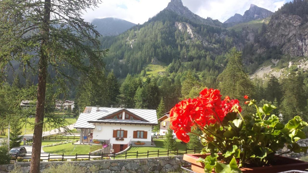 Chalet Rosa Dei Monti Piamprato ภายนอก รูปภาพ