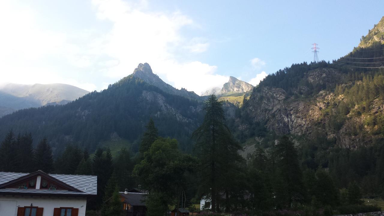 Chalet Rosa Dei Monti Piamprato ภายนอก รูปภาพ