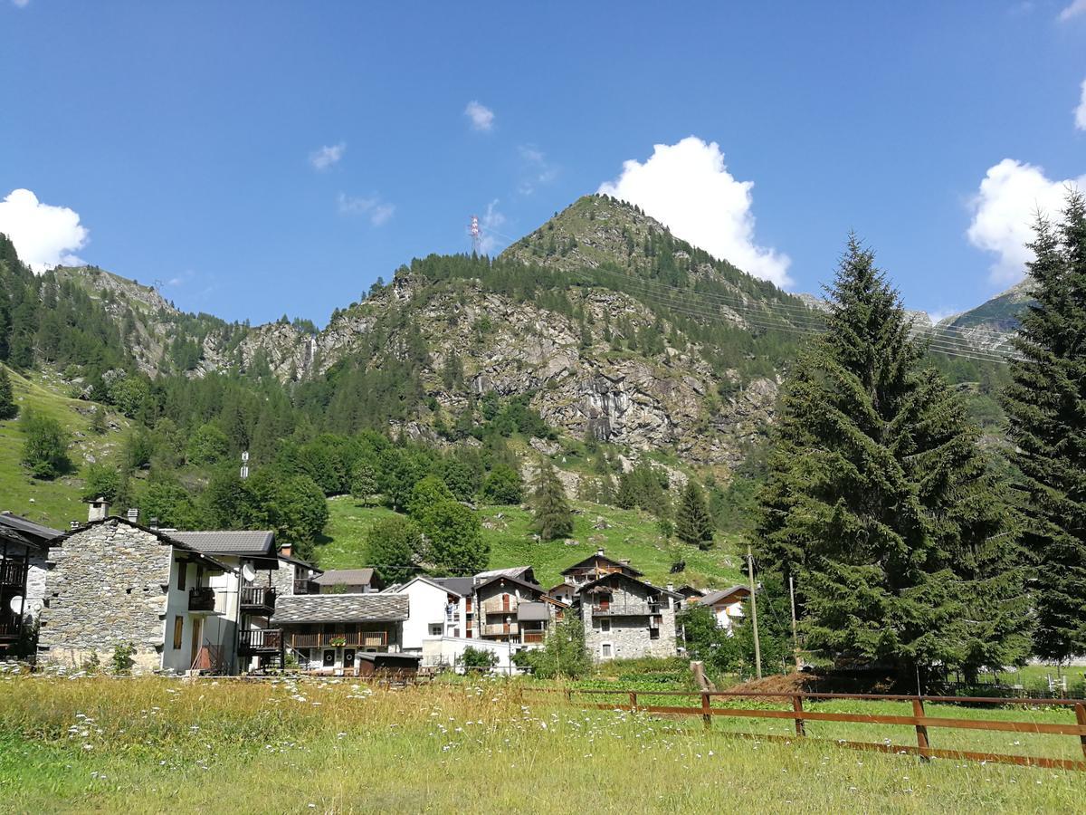 Chalet Rosa Dei Monti Piamprato ภายนอก รูปภาพ