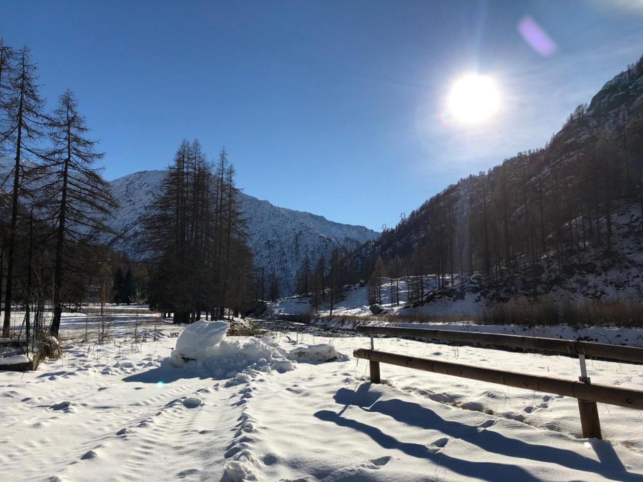 Chalet Rosa Dei Monti Piamprato ภายนอก รูปภาพ
