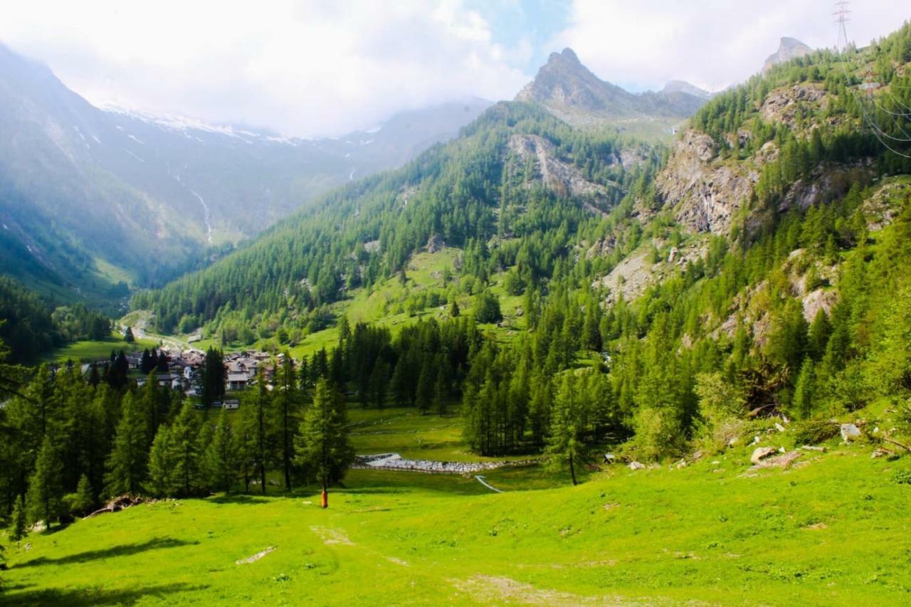 Chalet Rosa Dei Monti Piamprato ภายนอก รูปภาพ