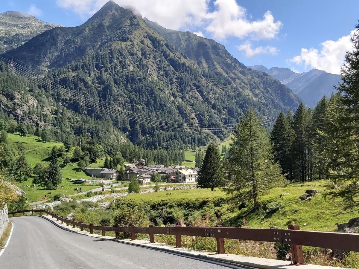 Chalet Rosa Dei Monti Piamprato ภายนอก รูปภาพ